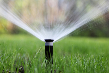 Sprinkler Repair – Common Problems and How to Fix Them